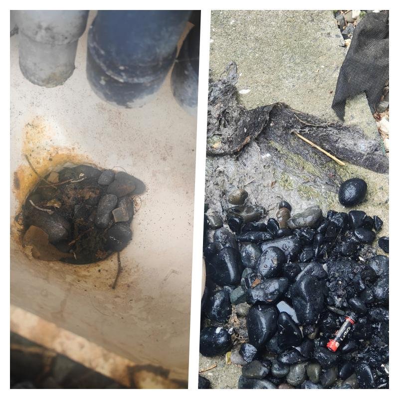 Drain Unblocking in Patumahoe and Karaka